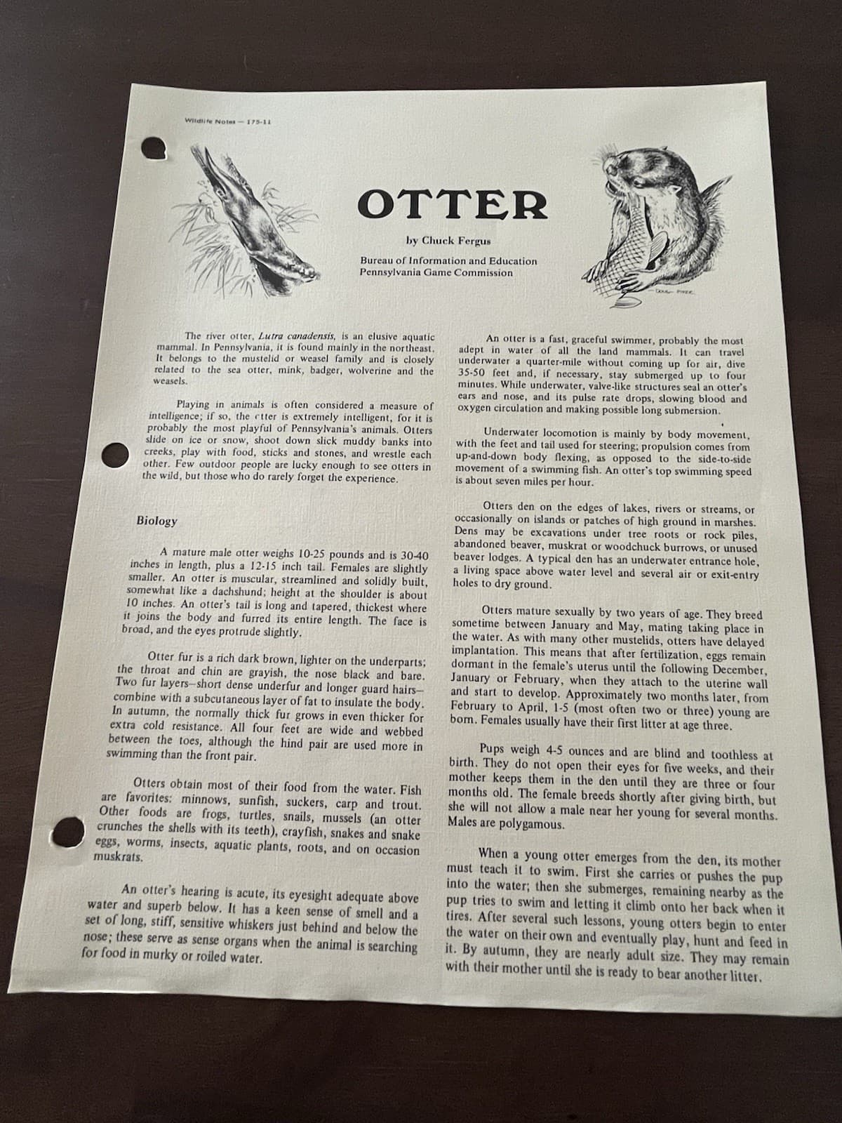 Pennsylvania Game Commission Wildlife Notes “Otter”