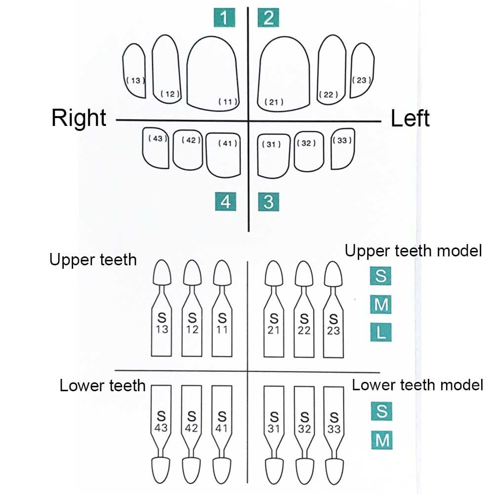 30pcs Dental Composite Porcelain Veneers Resin Light Cure Anterior Teeth Veneer 2
