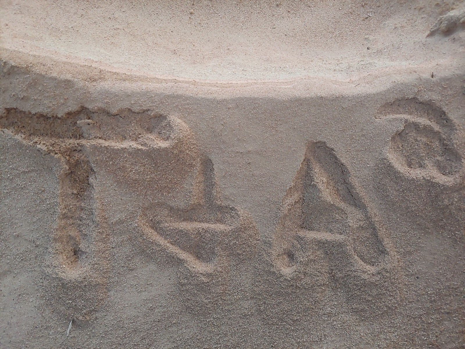 Two Pounds Undried Organic Mixed Oak Sawdust for Gardening, Wood Working, etc.