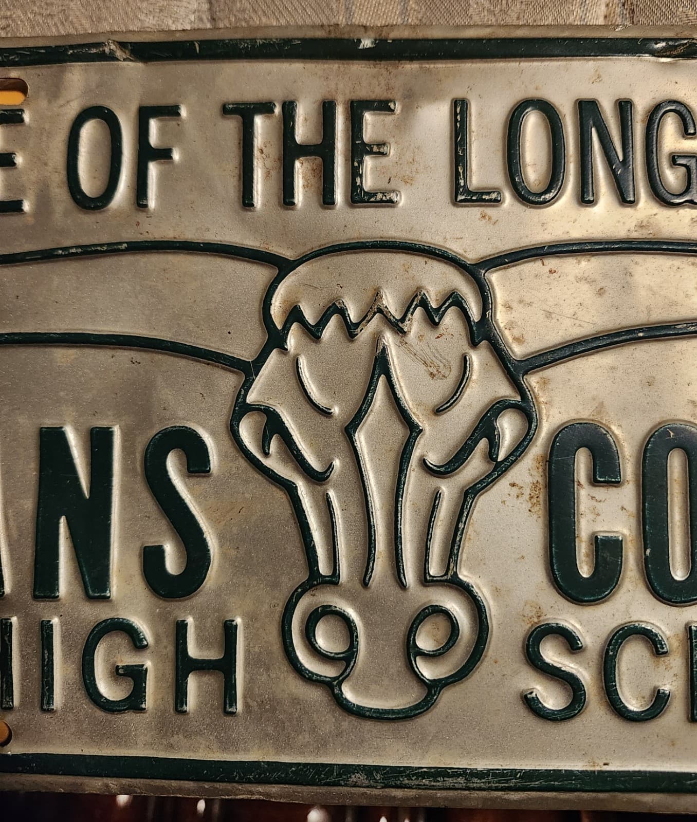 Evans Co. Georgia High School Booster License Plate Longhorns 5