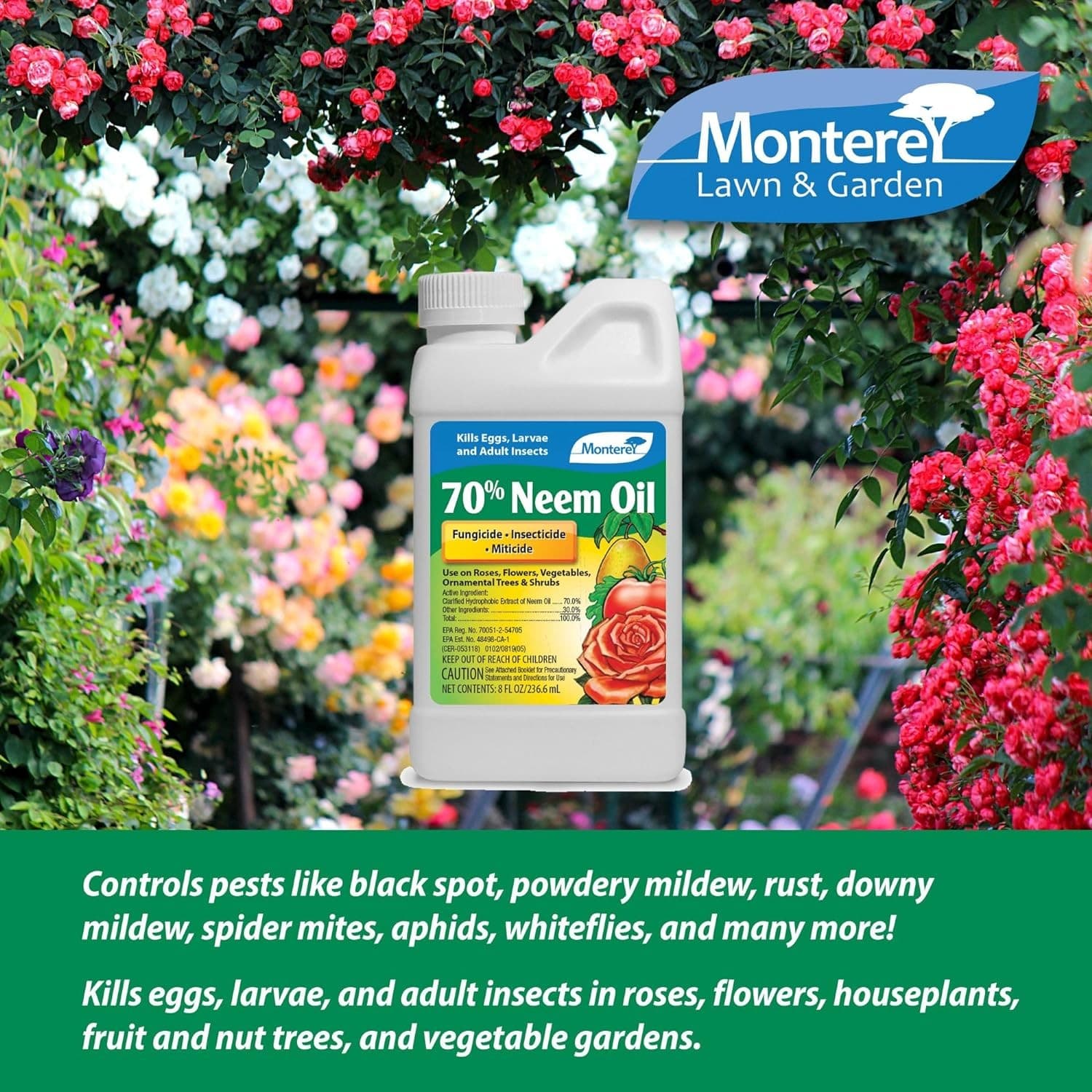 Monterey Neem Oil 70% for Controlling Insects & Disease, 8oz, Brown 2