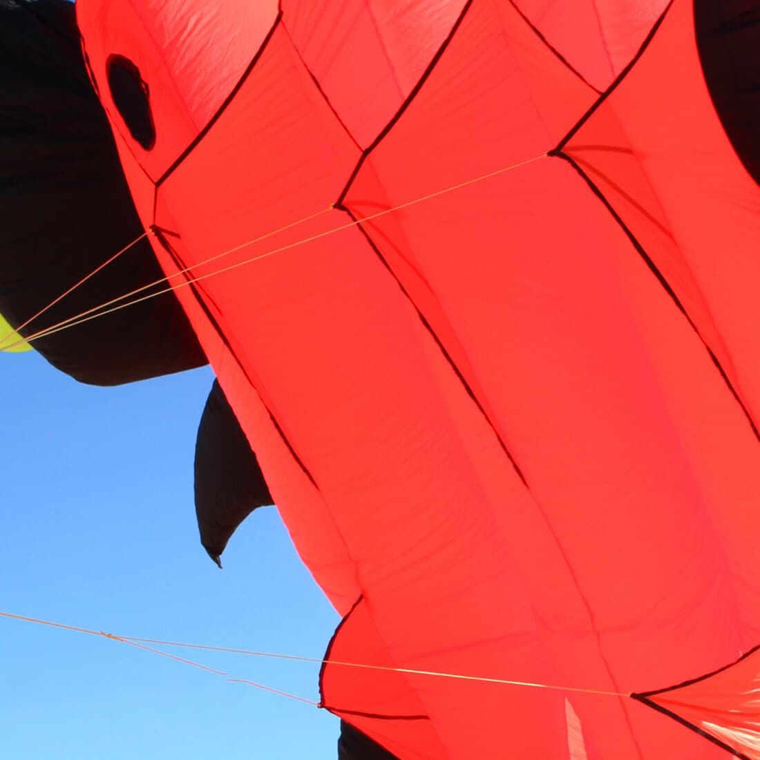 5m Large Goldfish Kite Soft Inflatable Kite 30D Ripstop Fabric 6 Color Available 3