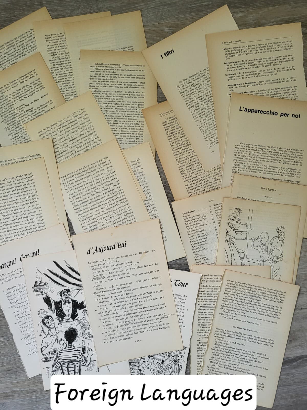 Ephemera Pack, 100 Antique Vintage Old Book Pages Foreign Language Illustrations 4