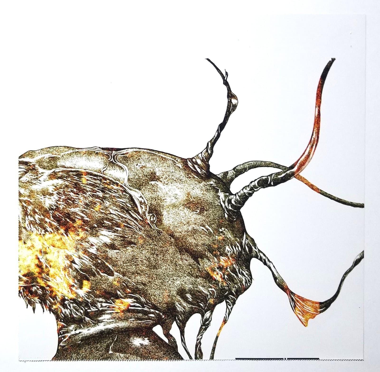 KORN band 2007 Untitled Album 12x12 Promo poster flat 2