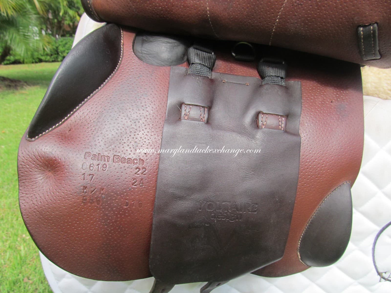 17" VOLTAIRE PALM BEACH BUFFALO ( FIN PANELS) close contact jumping saddle-2022! 3