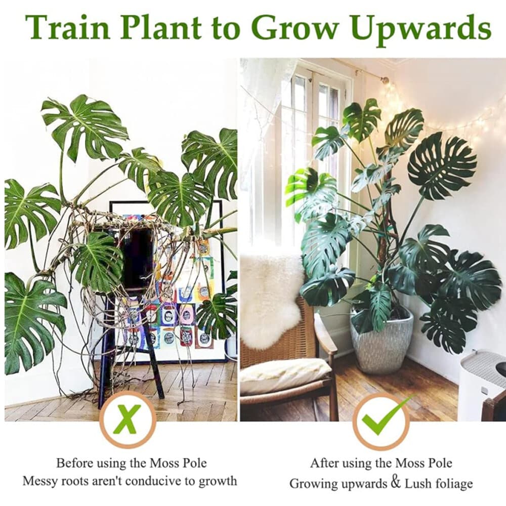 Coir Totem Pole | 3 PCS 11.8" | Plant Support Totem Pole | Moss Poles for Plant 5