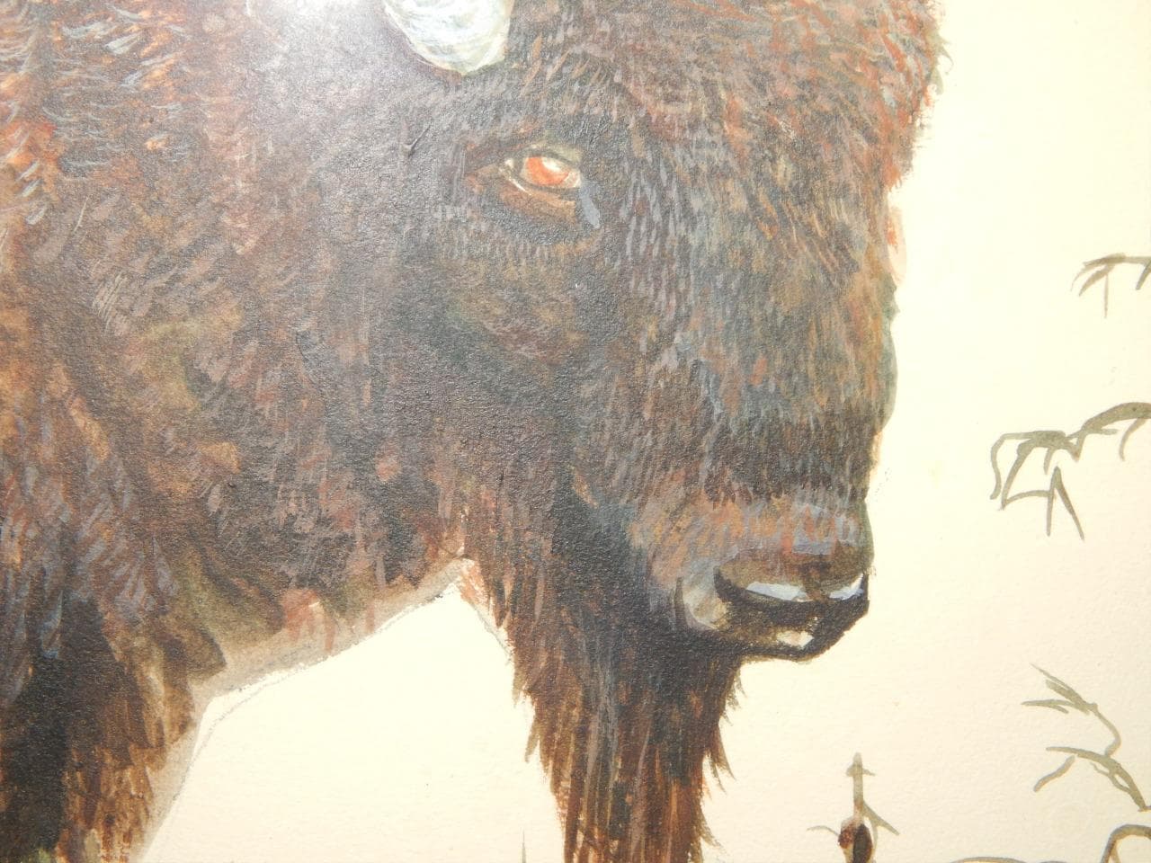 T. POOLEY ASA SIGNED BISON BUFFALO WESTERN INDIAN DSGN WATER COLOR PAINTING 5