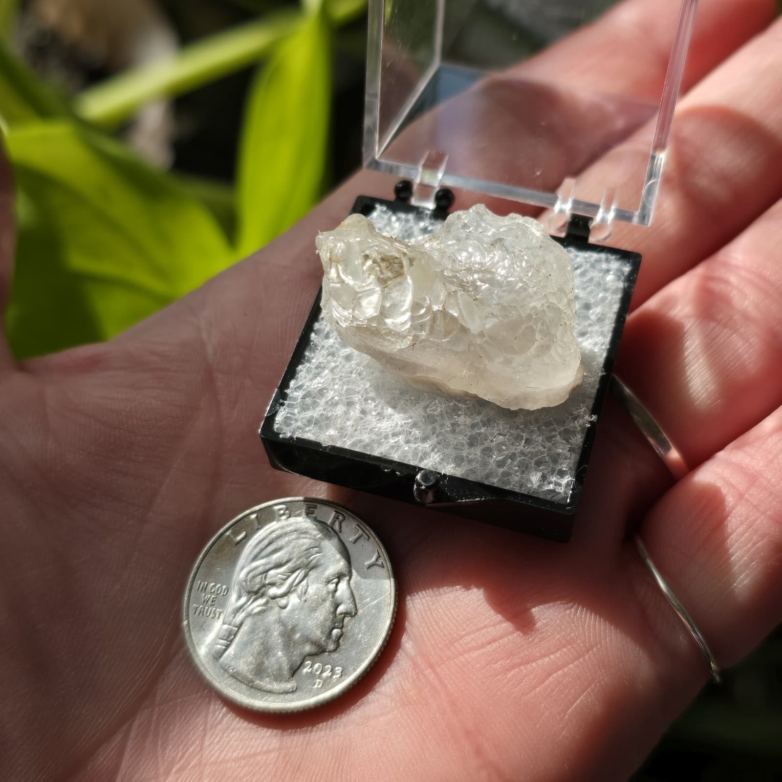 Fluorescent Hyalite Opal Specimen UV Reactive Glass Opal Specimen Perky Box 6