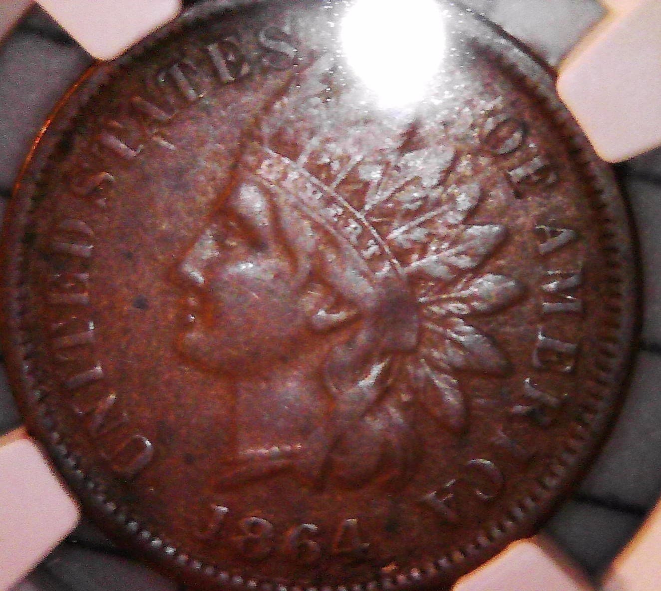 1864 L Bronze Indian Head Cent NGC VF Details 4