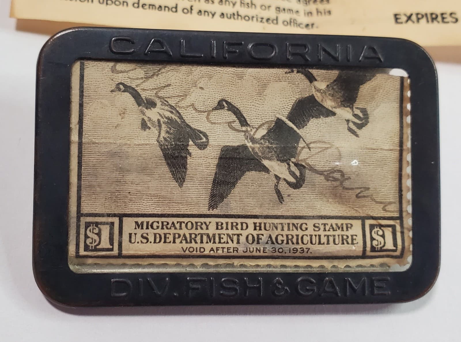 1937 California Migratory Bird License, Citizen Junior Hunting & Fishing Tickets 3