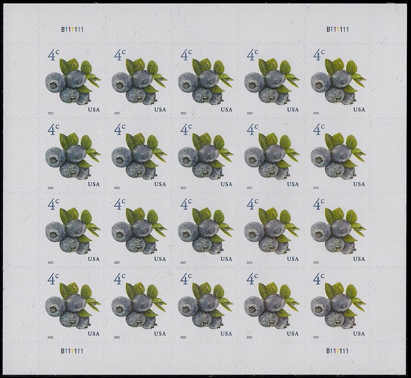 MINT Sheet of 20 BLUEBERRIES STAMPS Blueberry Fruit Antioxidants Health Benefits 2