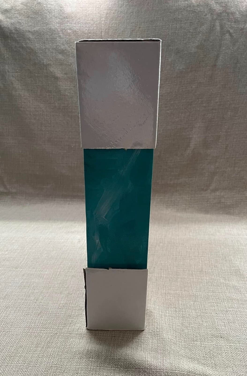 NEW 14”x 11”  Corgi Dog Print on Canvas, Teal 2 1/2 inches deep 3