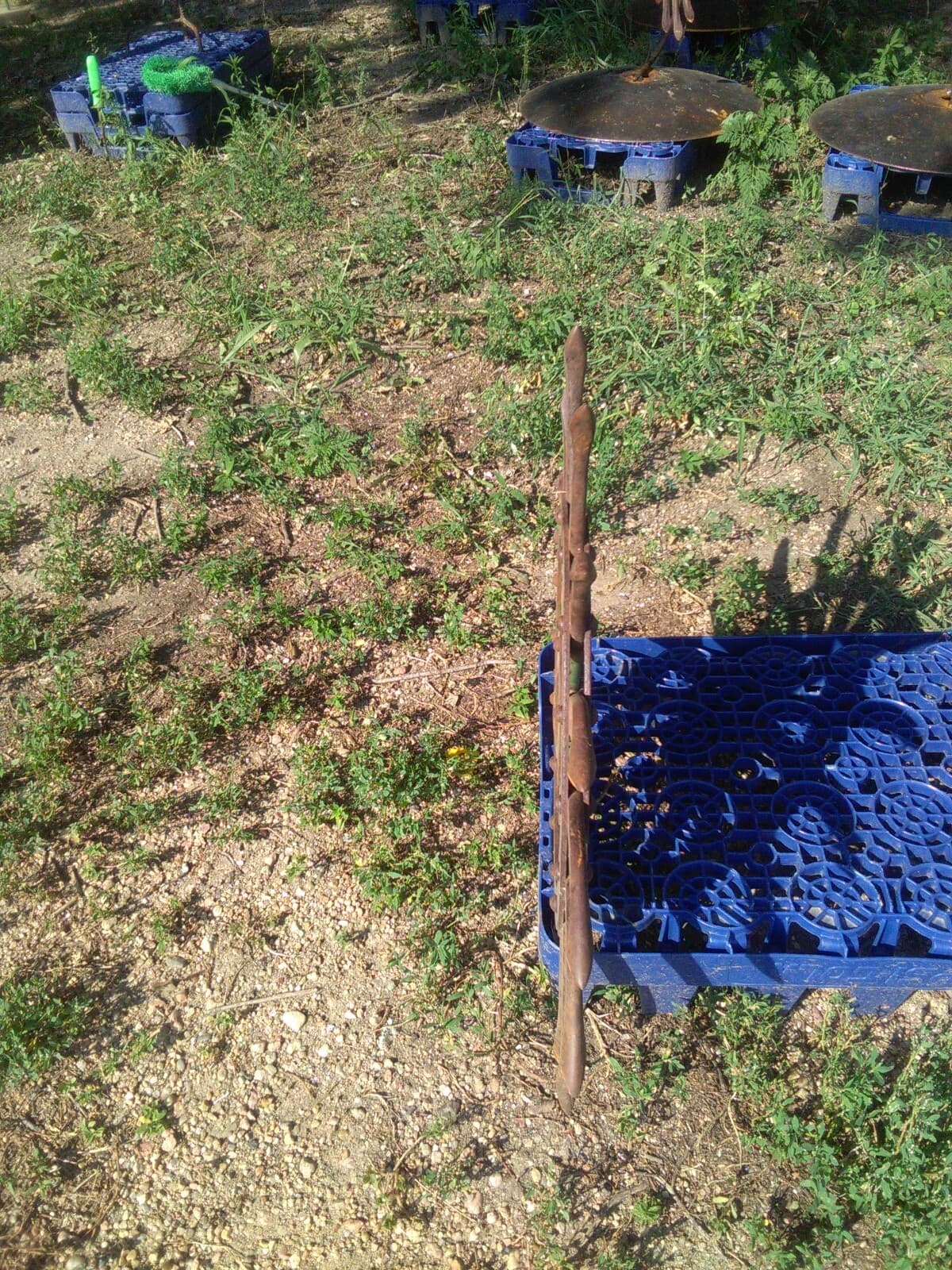 1 Wheel off of a John Deere Rotary Hoe, Yard Art Steampunk iron wheel 3