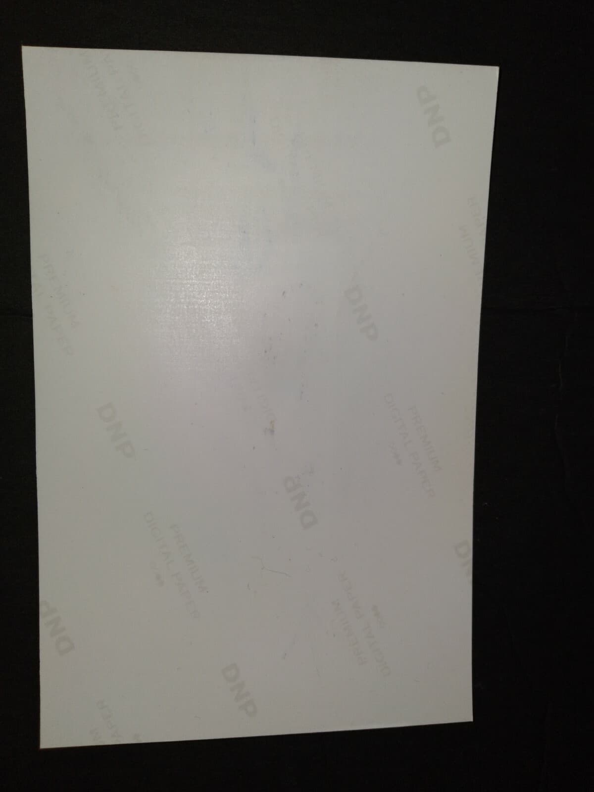 NIRVANA KRIST NOVOSELIC CHAD CHANNING SIGNED AUTOGRAPHED 4X6 PHOTO RARE IMAGE 4