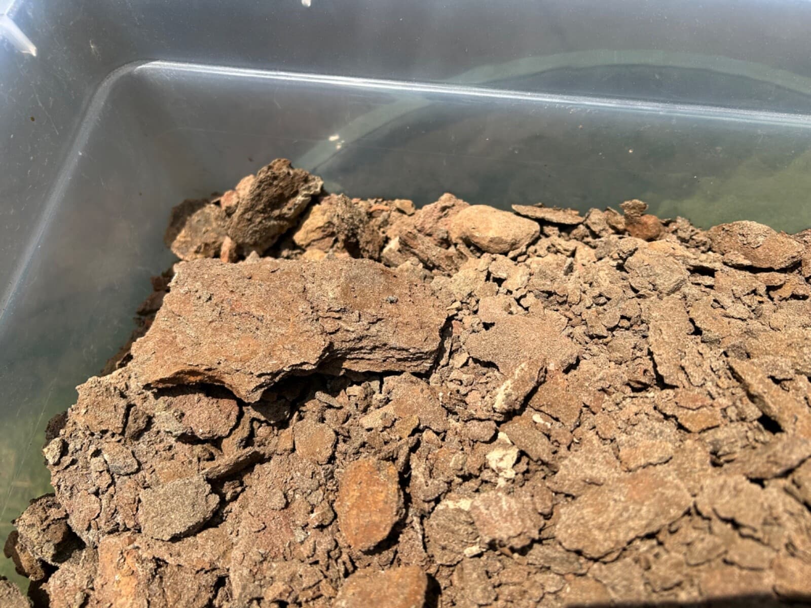 1 LBS Texas Micro Fossil Matrix Ozan Formation Find your Own Fossils Shark Fish 6