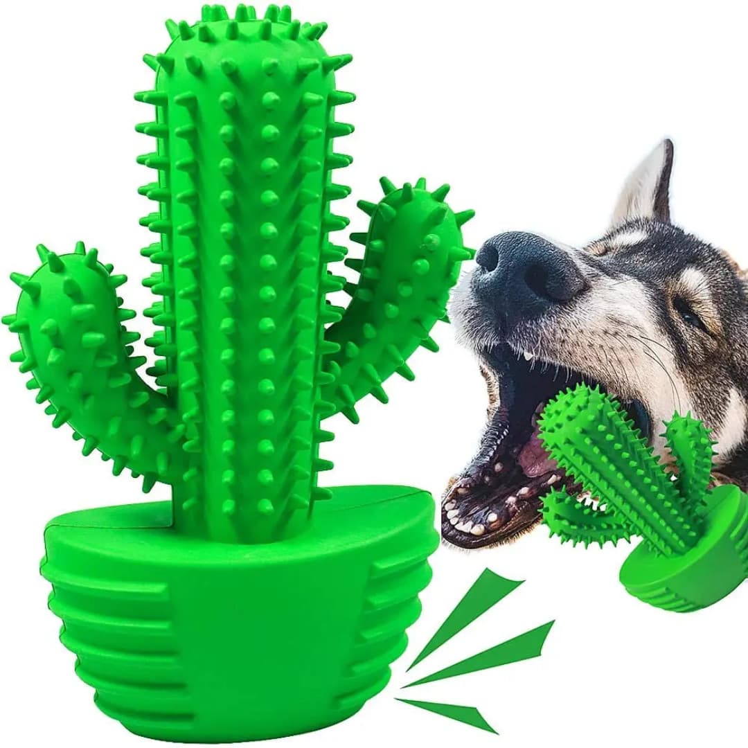 Squeaky Pet Cactus Toothbrush Canine Teeth Cleaning Dental Care Dog Chew Toy ++* 4