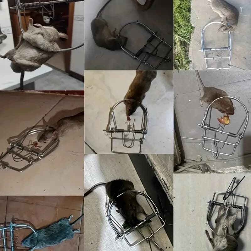 3 Units Small Animals Spring Traps Catch Traps Mouse Trap  Rodent for Rabbit Rat 2