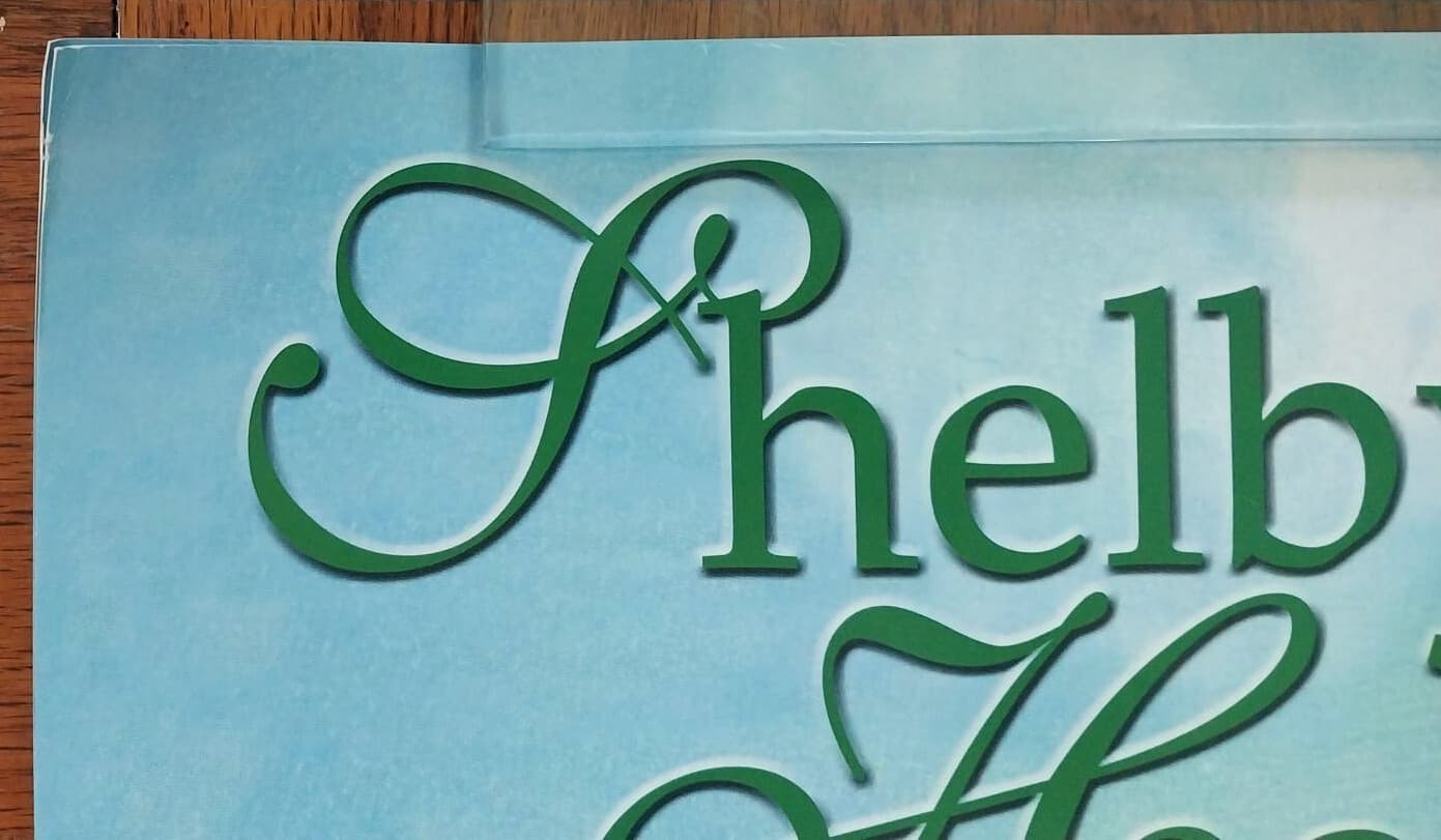 2002 original Shelbyville TN Horse Show Poster Shelby County Tennessee 20x28 3