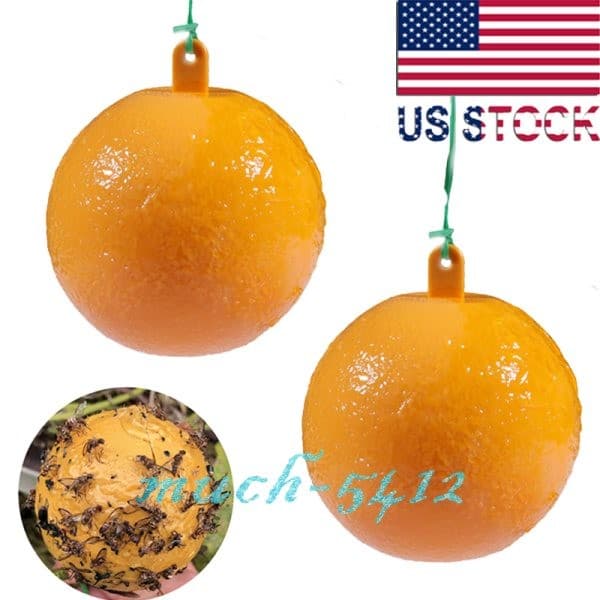 Bug Fruit Fly Traps Sticky Ball Fungus Gnat Pest Control Ball for Indoor Outdoor 6
