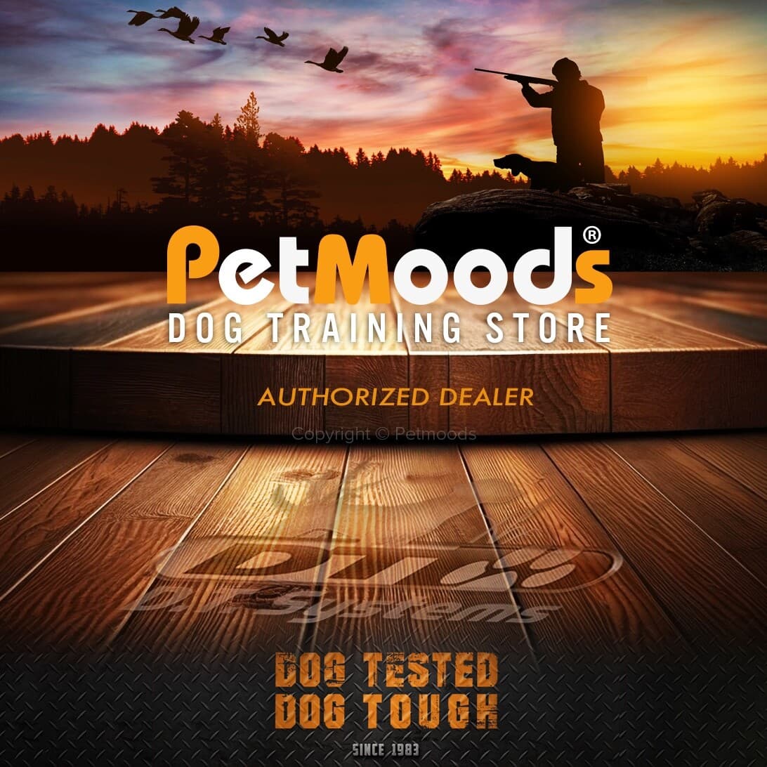 DT Systems 1" Contact Points Male Stimulation Probes with Washers Set of 2 2