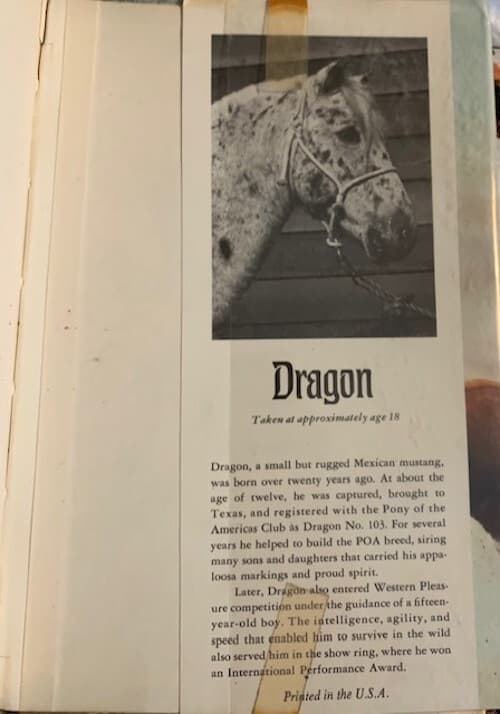 A Horse Called Dragon POA Pony of Americas Lynn Hall 1971 1st Printing HB ex-lib 5