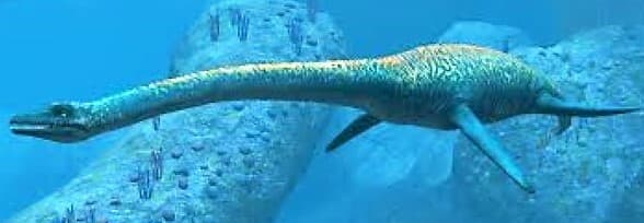 ELASMOSAURUS TOOTH PLESIOSAUR REPTILE FOSSIL EXTINCT SEA DINOSAUR ANCIENT RELIC 5