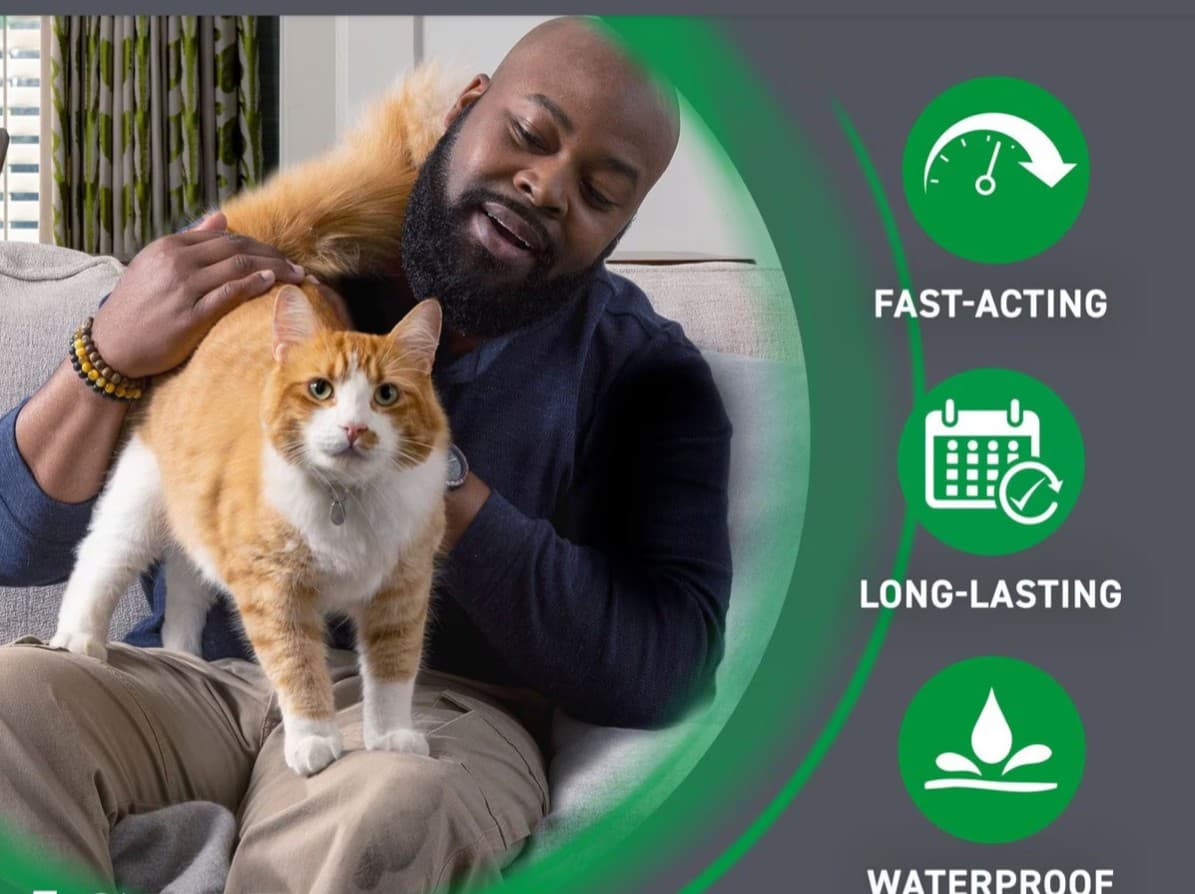 New date Cat Flea and Tick Treatment For Cats & Kitten 8 Weeks + 6 Doses 4