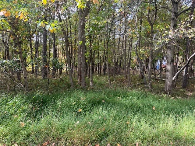 Land for sale in Poconos PA 5