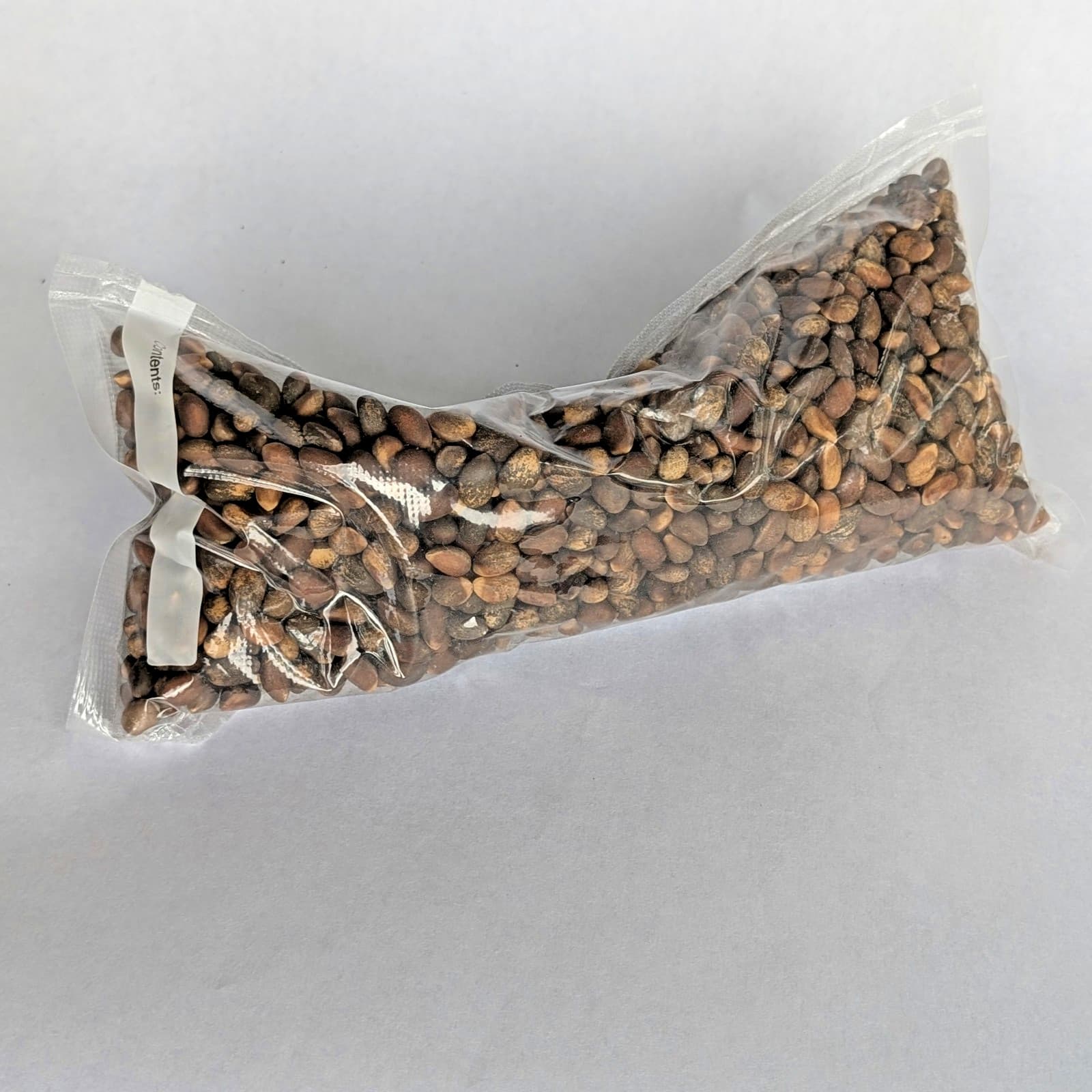 New Mexico Piñon Pine Nuts, 1lb Raw Pinon | Navajo Nation, Zuni Mountains 3
