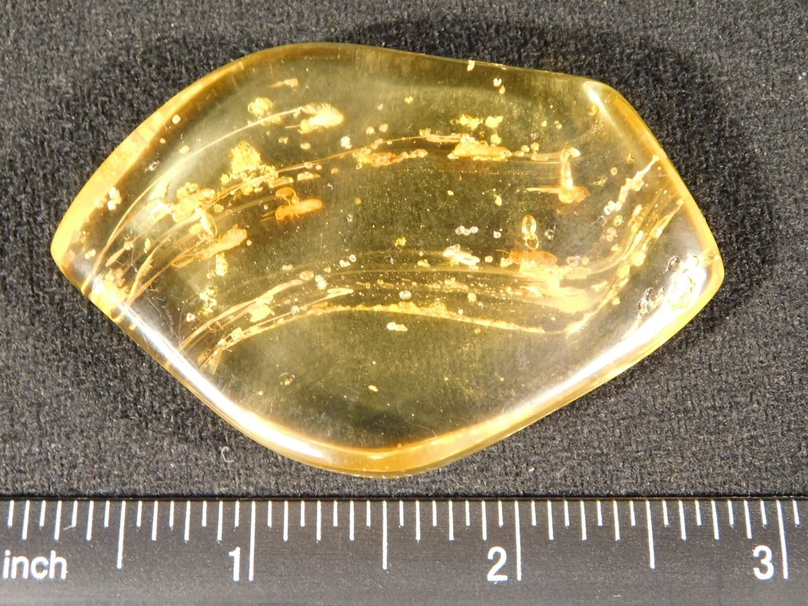Polished Fossil AMBER With FOUR! Little TERMITE Fossils From Colombia 18.6gr 5