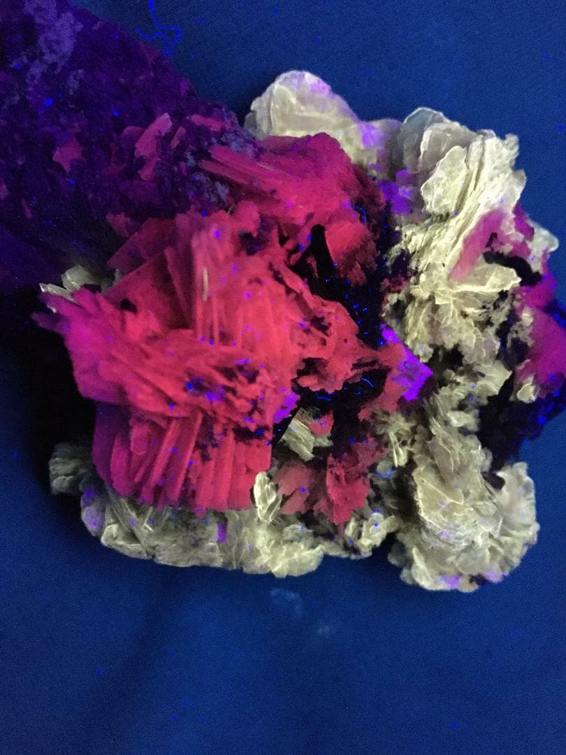 KB: FANTASTIC! GREAT SW FL. POLYLITHIONITE/LEUCOPHANITE/ALBITE, QUEBEC, CANADA 5