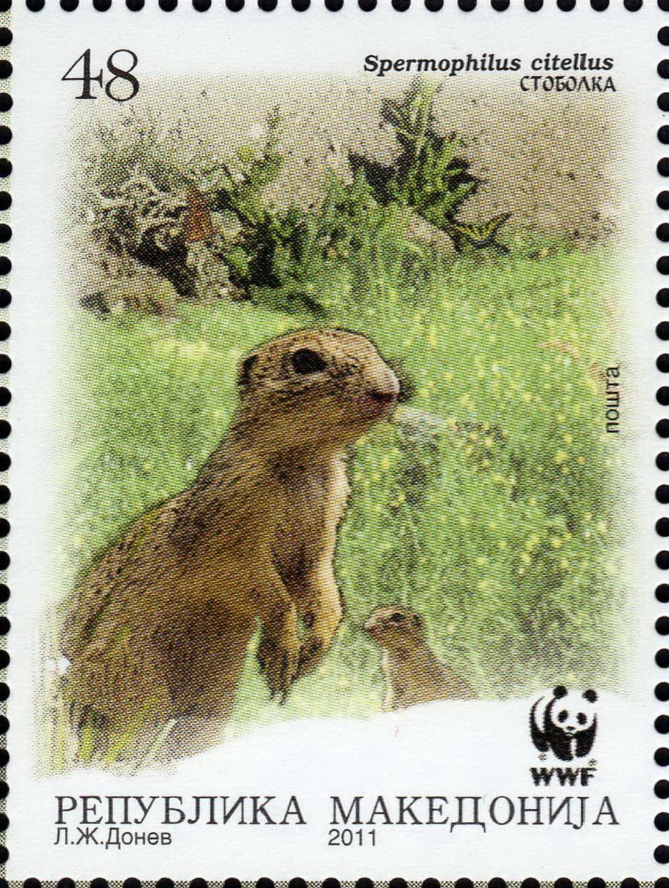 Macedonia 2011yr. - Ground Squirrel - Macedonian POST STAMP SHEET MNH WWF 6
