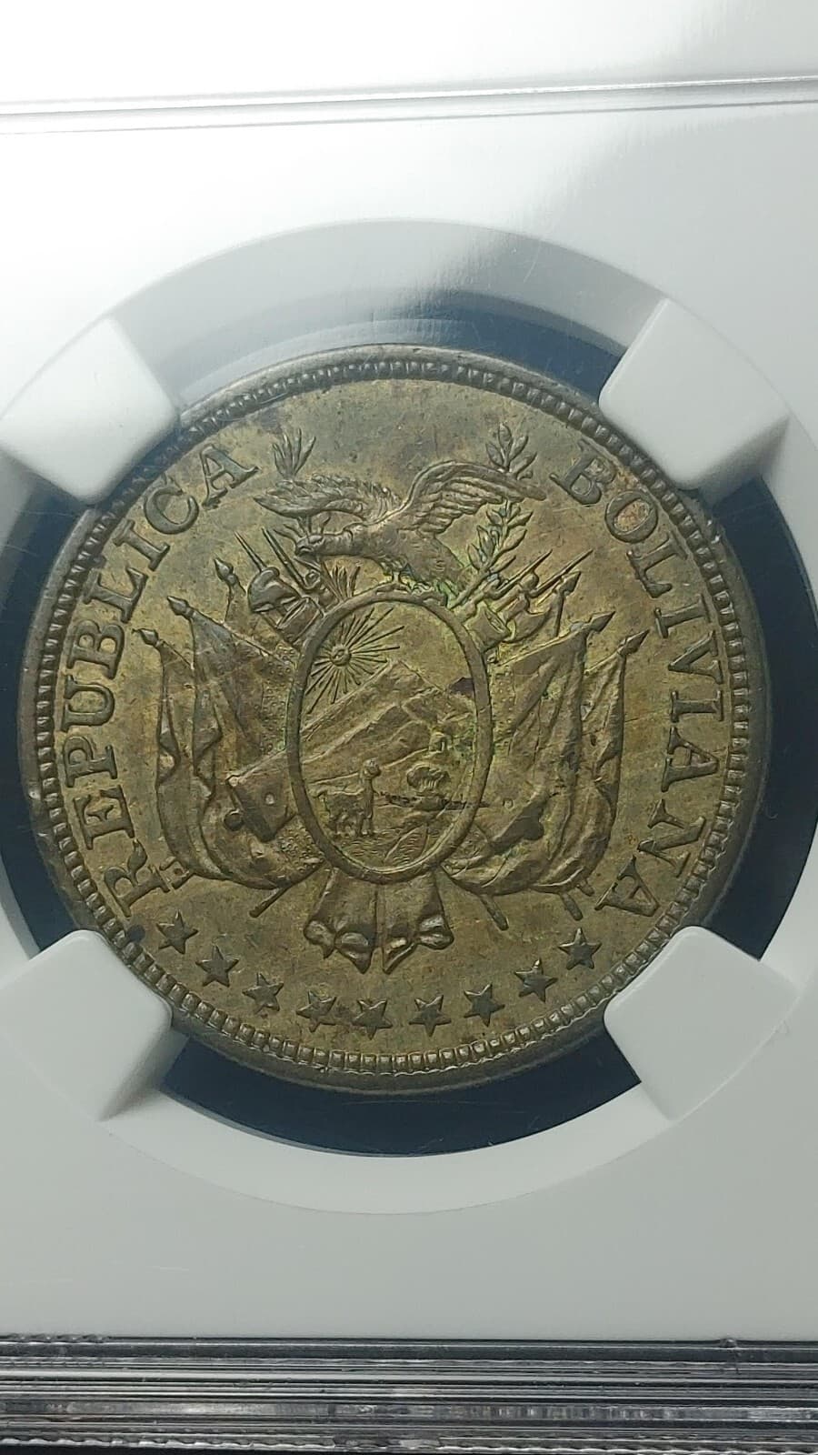 1902 PTS MM Bolivia Brass Pattern 50 Centavos NGC AU55                      2688 3