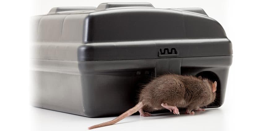 Protecta EVO Express Rat Control Station Weighted Control Station  ( 2 Pack ) 5