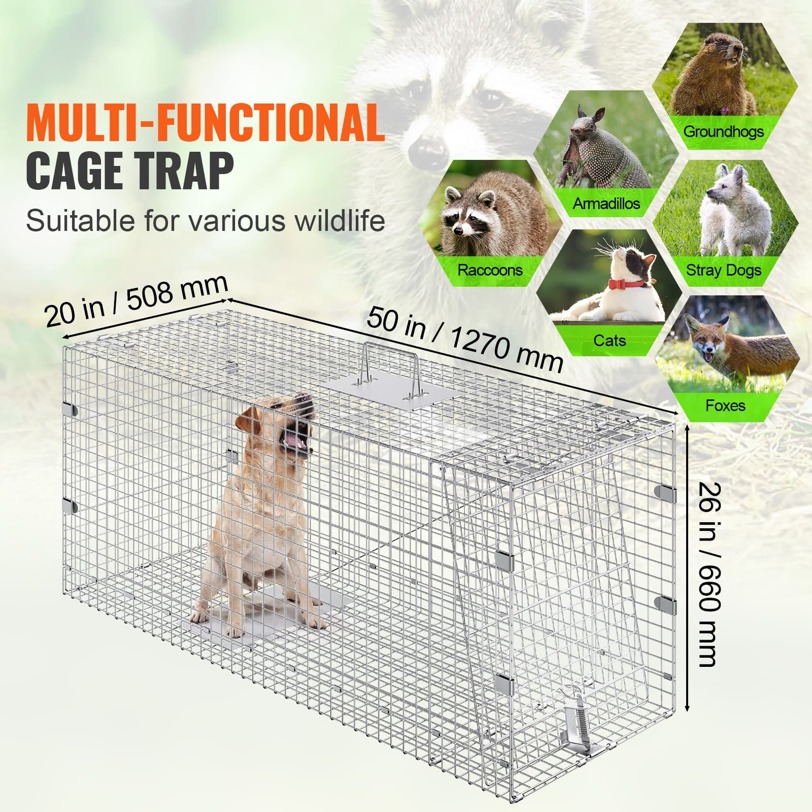 Live Animal Cage Trap 50" x 20" x 26" Humane Cat Trap Cats Squirrels Mouse 2