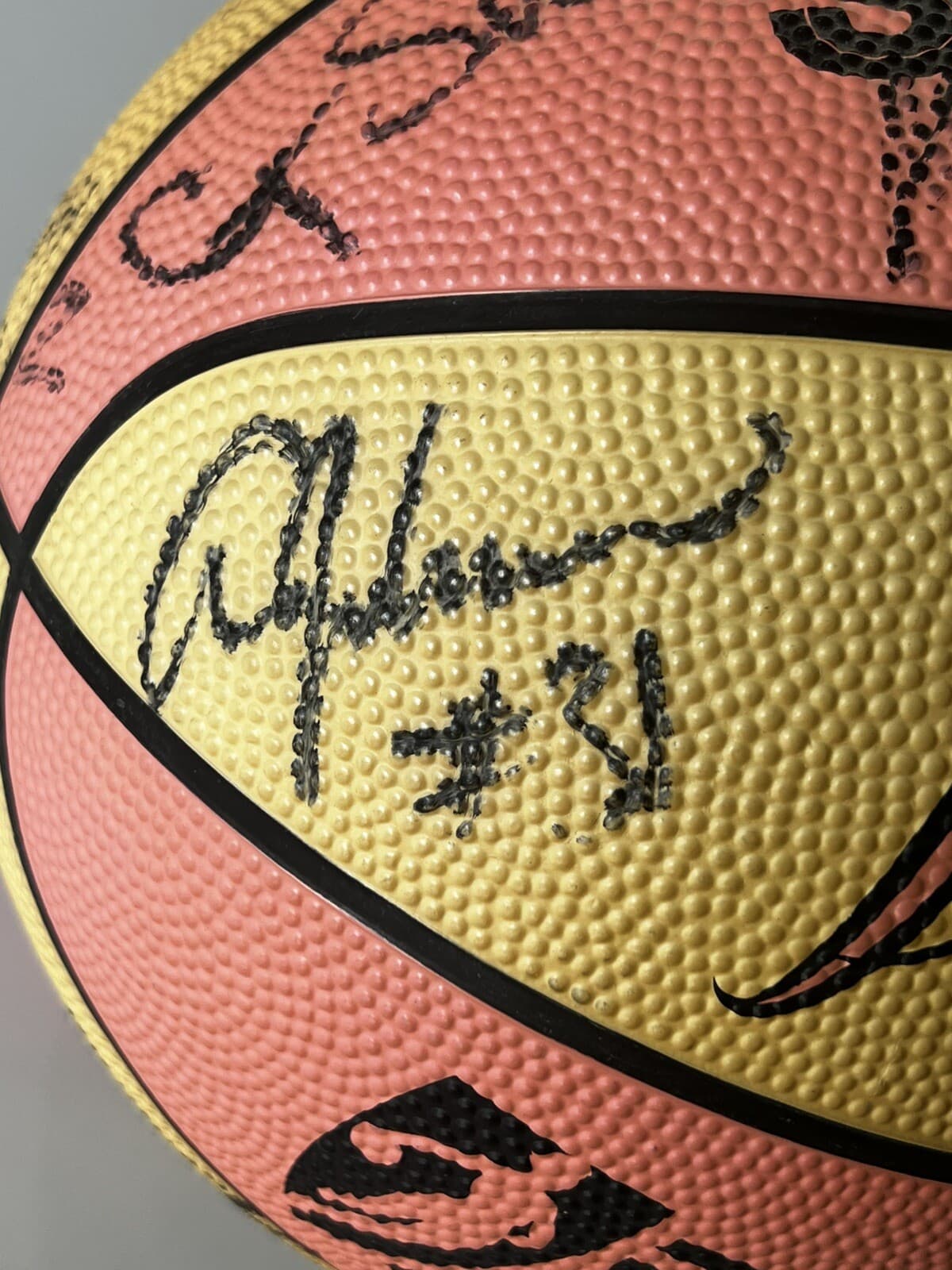 WNBA Basketball Signed Autographed Basketball - 15 Autographs - Sears Spalding 2