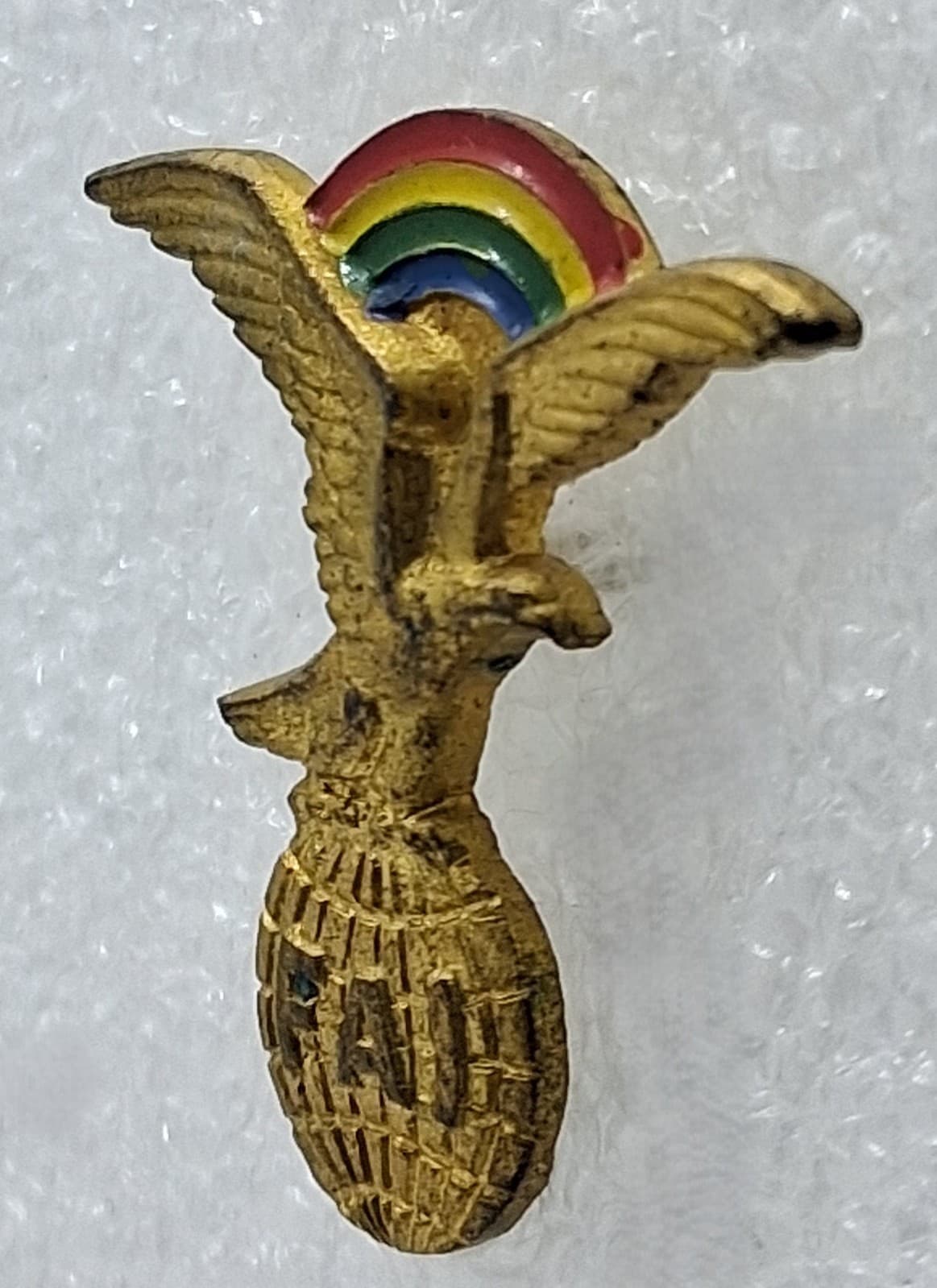 Federation Aeronautique Internationale Pin ( World Air Sports Federation ) 3