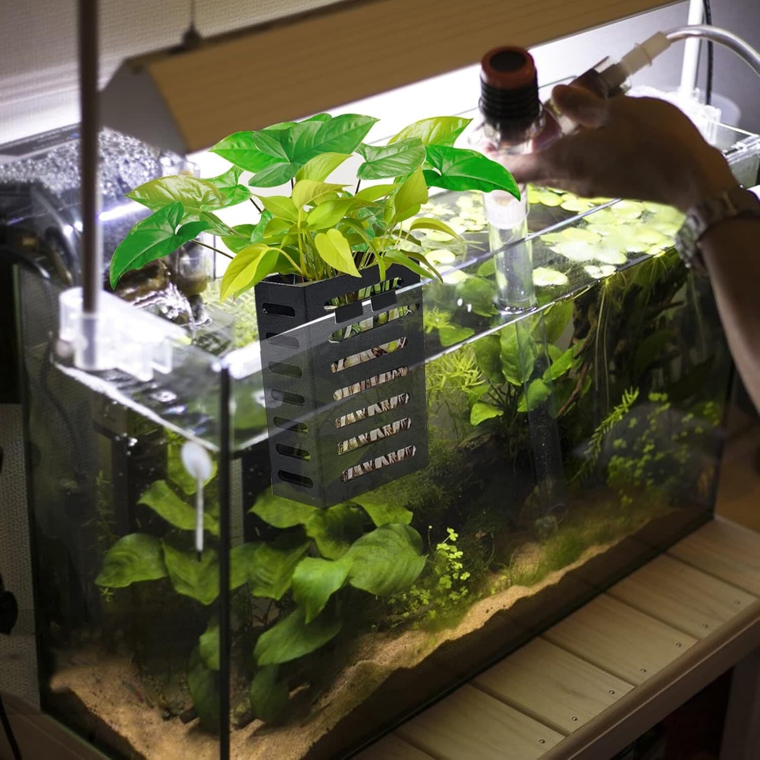 4 Pack Aquarium Plant Holder-Hanging Aquarium Planter Holder, Aquatic Plant Cup, 3