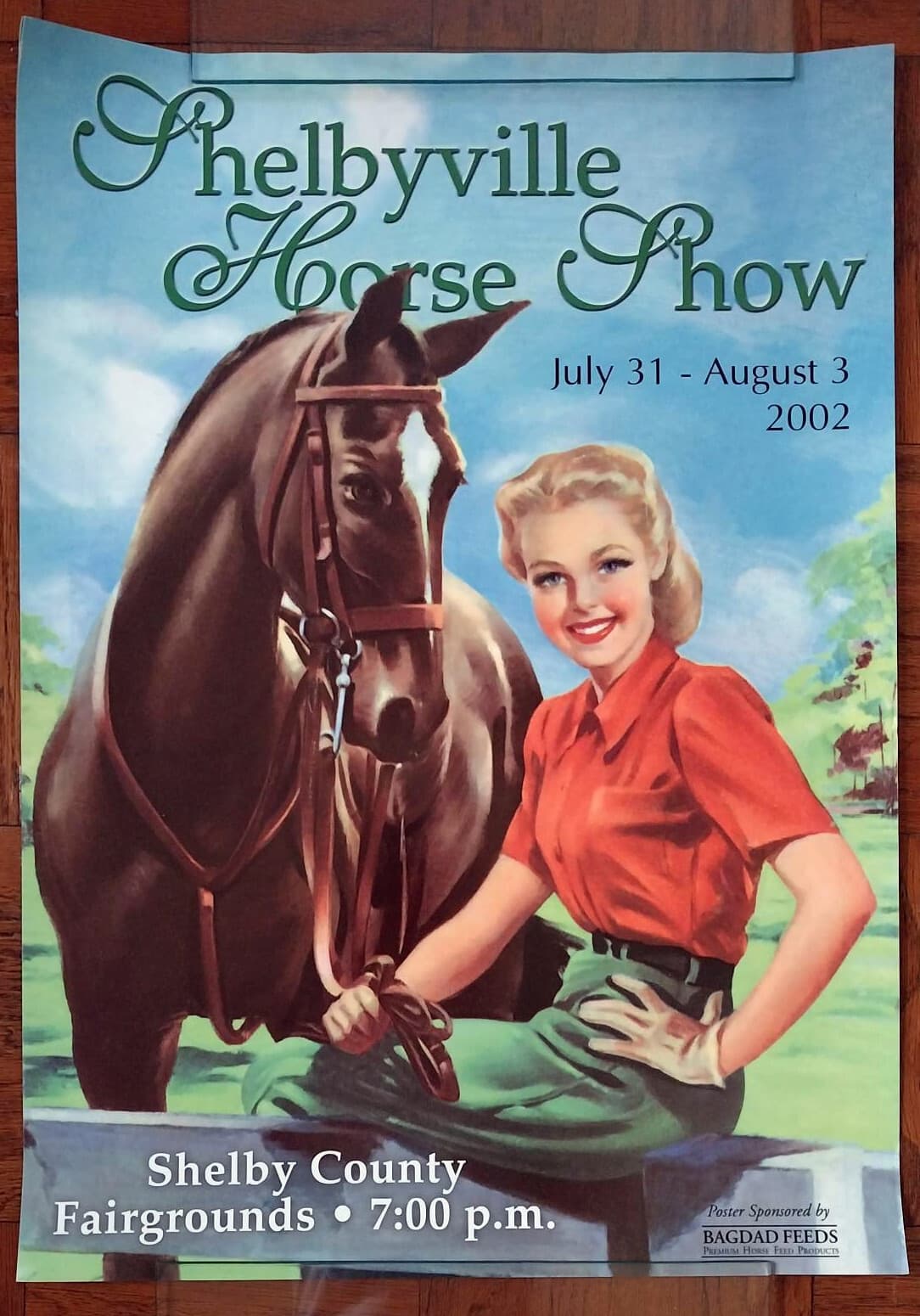 2002 original Shelbyville TN Horse Show Poster Shelby County Tennessee 20x28