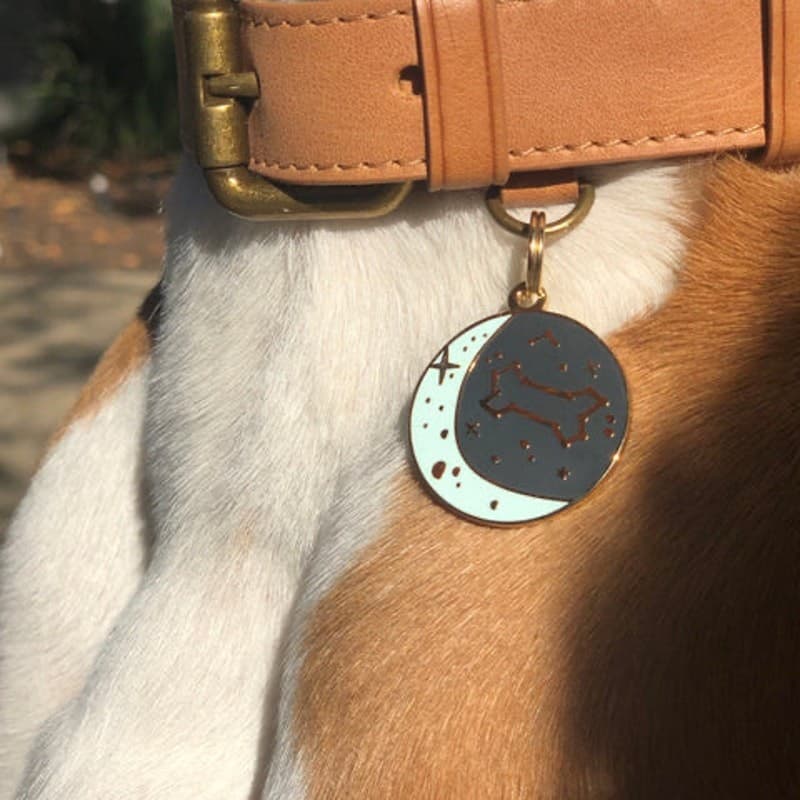 Two Tails Pet Company “Zodiac” Personalized Dog ID Tag,  3