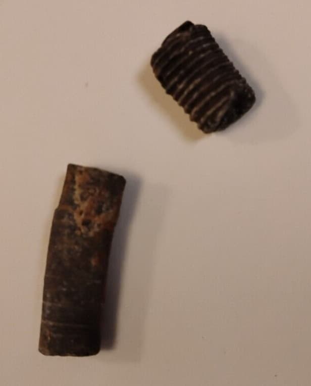 Fossil Crinoid Stem With Information Sheet 3