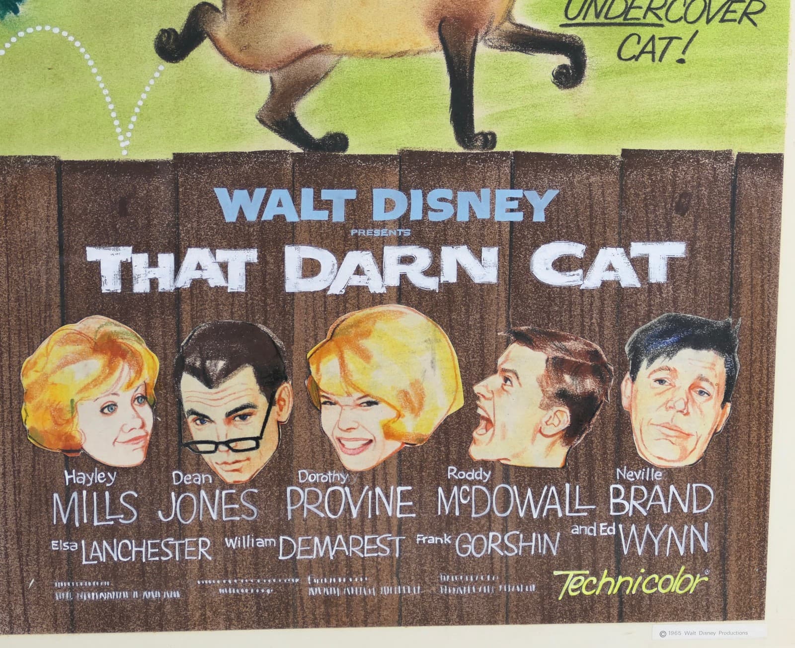[Disney]"That Darn Cat" Original 1965 Poster Concept Art 3