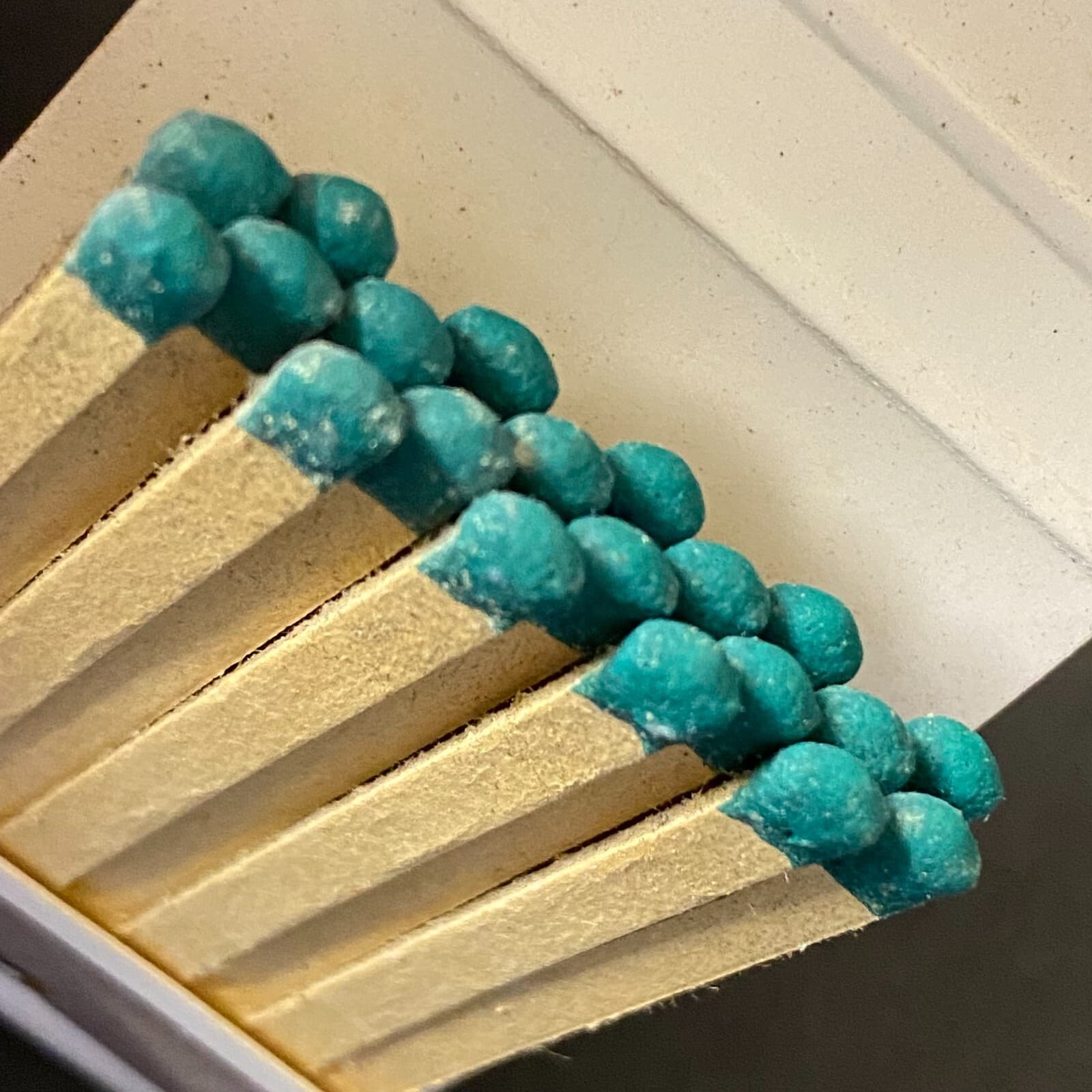 Highway Host Motor Motel Mongomery, AL c1961 Full Matchbook VGC Scarce 5