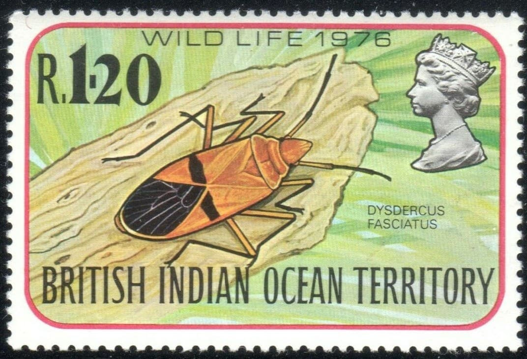 British Indian Ocean Territory Scott 86-89, SG 86-89 Wildlife VF MNH 1976 BIOT 3