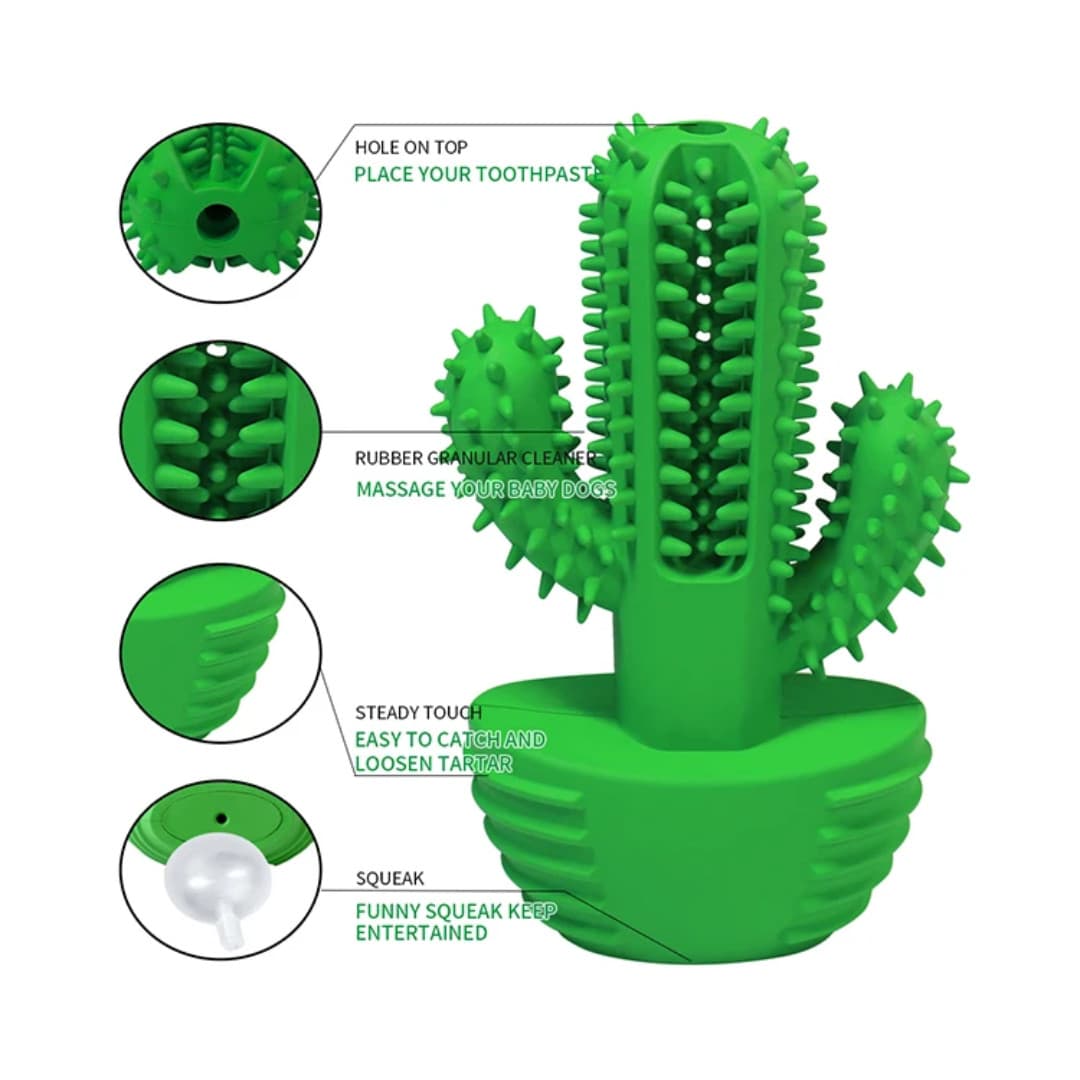 Squeaky Pet Cactus Toothbrush Canine Teeth Cleaning Dental Care Dog Chew Toy ++* 3