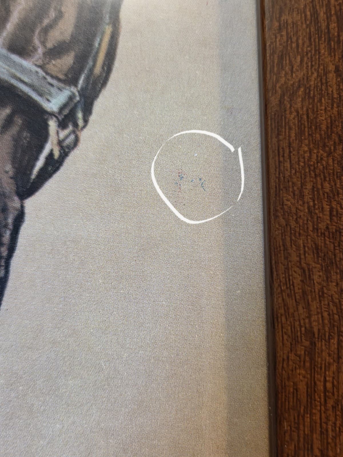 Horses Mare & Foal Ole Larsen Print Wood Frame Equines * Please Read  6