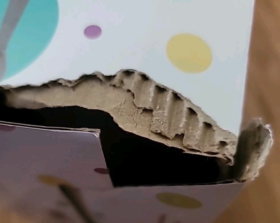 5 Piece Silicon Baby Feeding Set French Bulldog  Bowl Bib Plate 2 Spoons Torn Bx 5