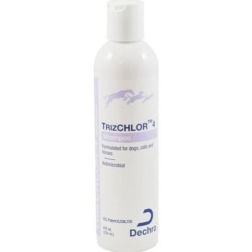 TrizCHLOR 4 Shampoo by Dechra - Antibacterial & Antifungal Care | 8oz