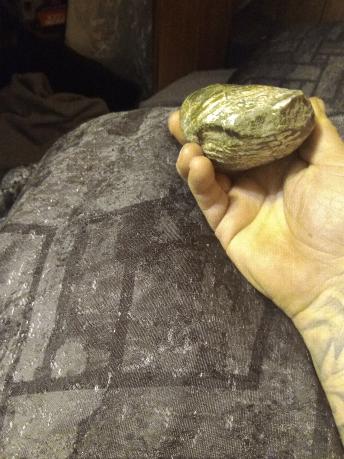 Clam Or Oyster Fossils 4