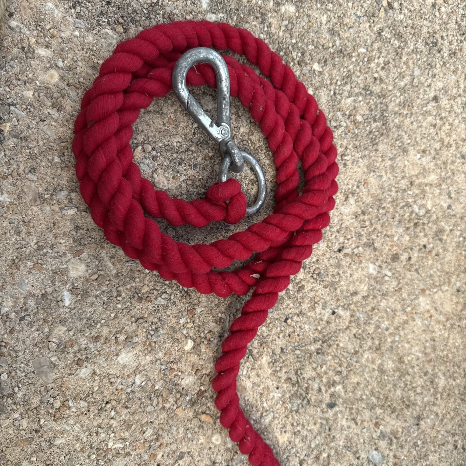 HUGE! Leather Horse Lot Equestrian Heavy Lead Ropes Halters Brass Nylon 2